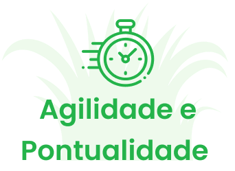 agilidade